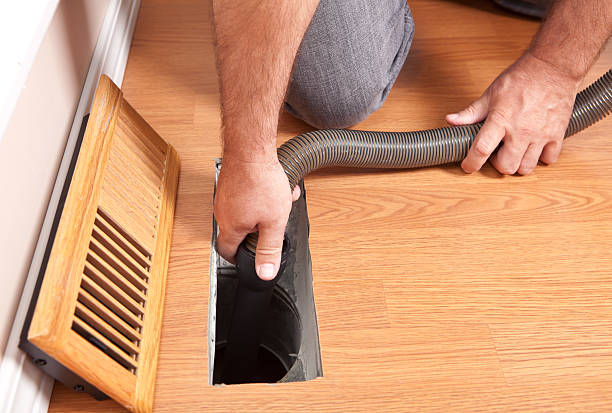 Best Air Duct Mold Removal  in Dickson City, PA